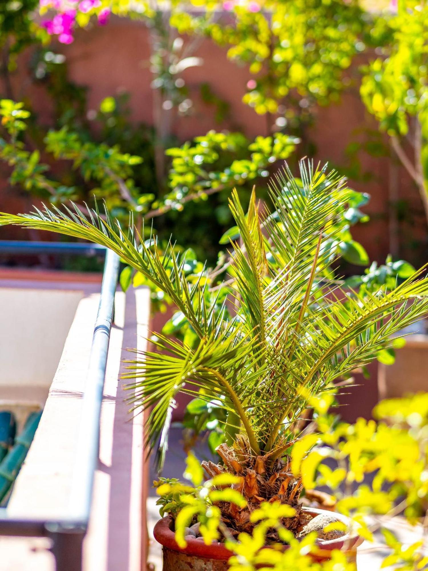 Riad L'Orange Bleue マラケシュ エクステリア 写真